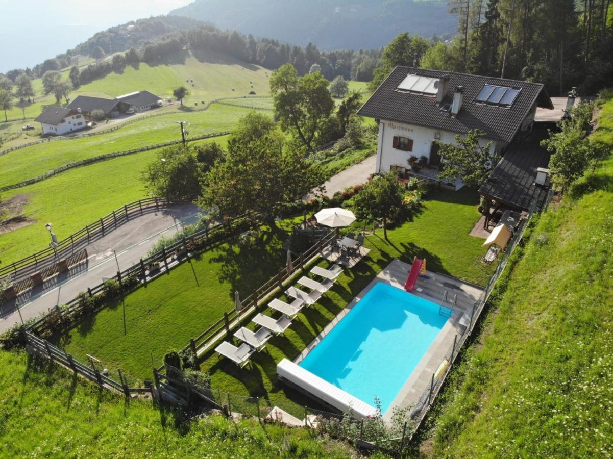 Alpenrose Apartment Мелтина Екстериор снимка