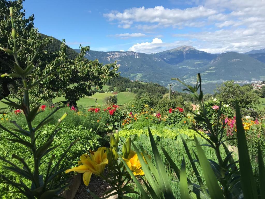 Alpenrose Apartment Мелтина Екстериор снимка