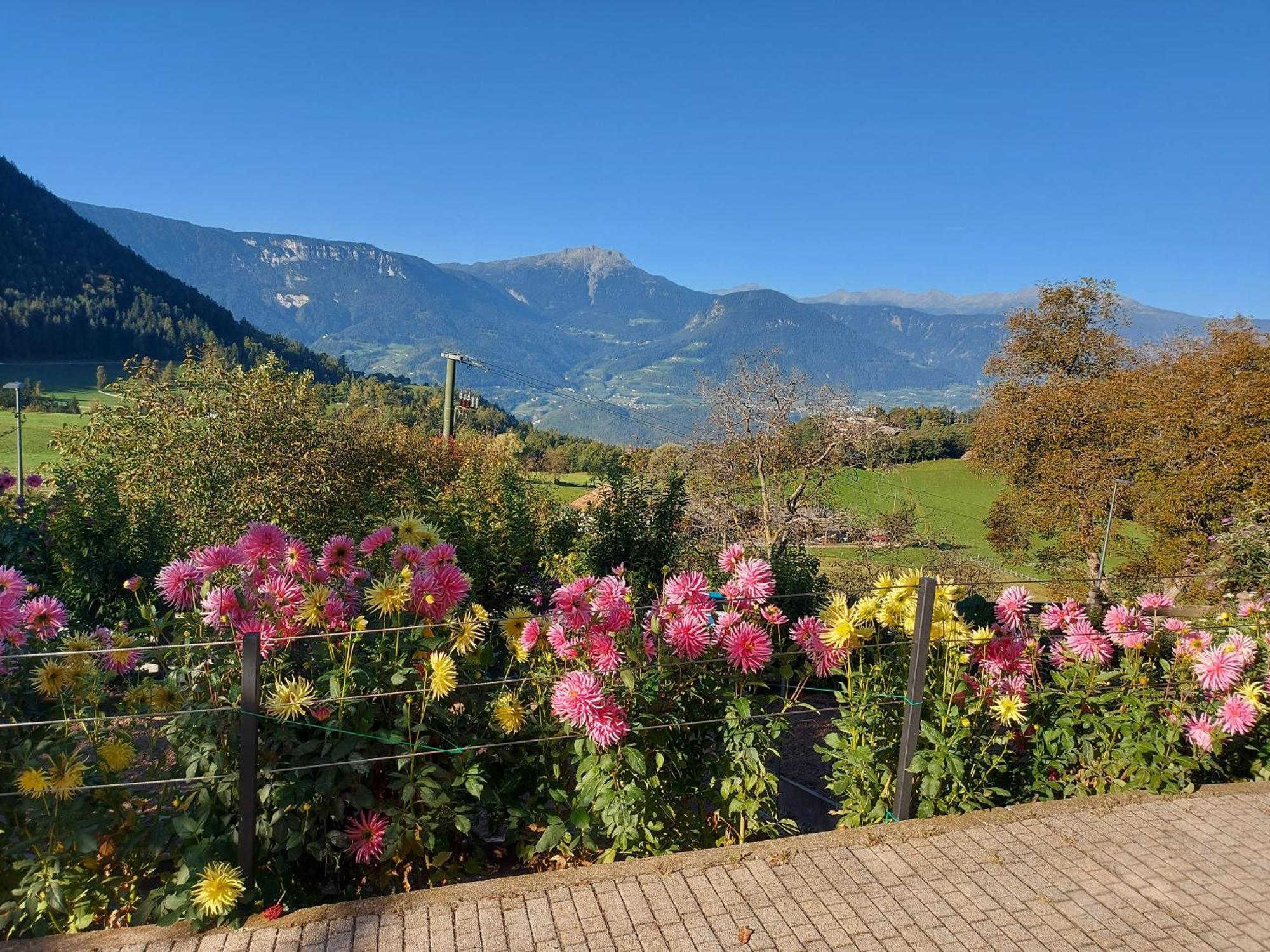 Alpenrose Apartment Мелтина Екстериор снимка